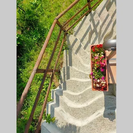Villa Con Piscina 10 Posti Letto, L'oliveta Di Rivalto Chianni