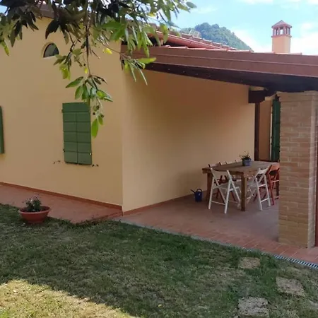 Con Piscina 10 Posti Letto, L'oliveta Di Rivalto Villa