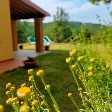 Con Piscina 10 Posti Letto, L'oliveta Di Rivalto