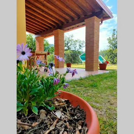 Villa Con Piscina 10 Posti Letto, L'oliveta Di Rivalto Chianni