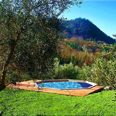 Con Piscina 10 Posti Letto, L'oliveta Di Rivalto *