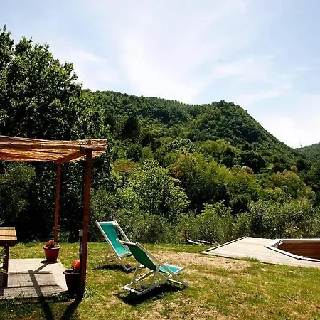 Con Piscina 10 Posti Letto, L'oliveta Di Rivalto Villa *