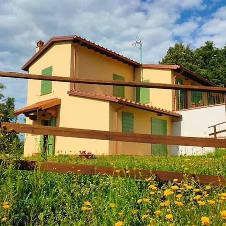 Con Piscina 10 Posti Letto, L'oliveta Di Rivalto *