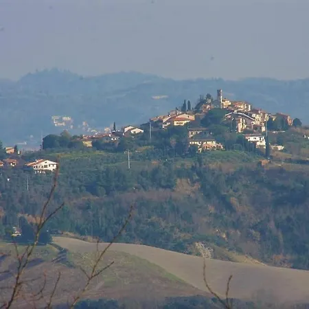 Con Piscina 10 Posti Letto, L'oliveta Di Rivalto *