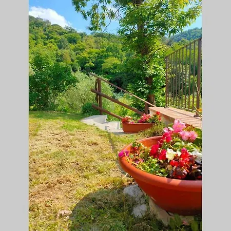 Con Piscina 10 Posti Letto, L'oliveta Di Rivalto Chianni