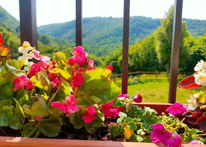 Villa Con Piscina 10 Posti Letto, L'oliveta Di Rivalto *