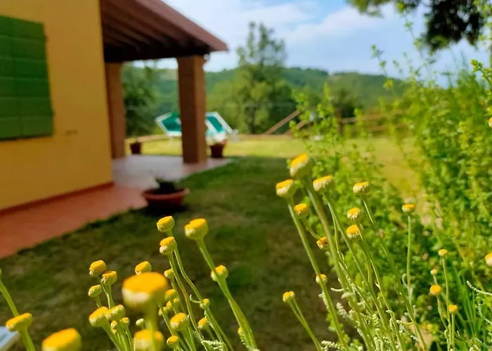 Con Piscina 10 Posti Letto, L'oliveta Di Rivalto