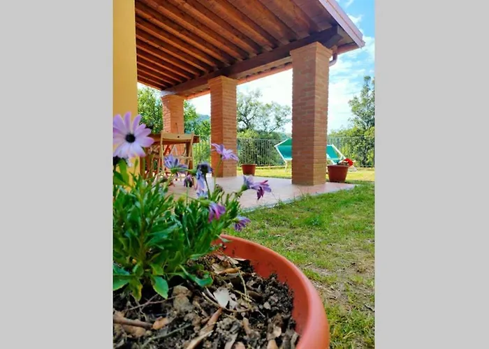Villa Con Piscina 10 Posti Letto, L'oliveta Di Rivalto Chianni
