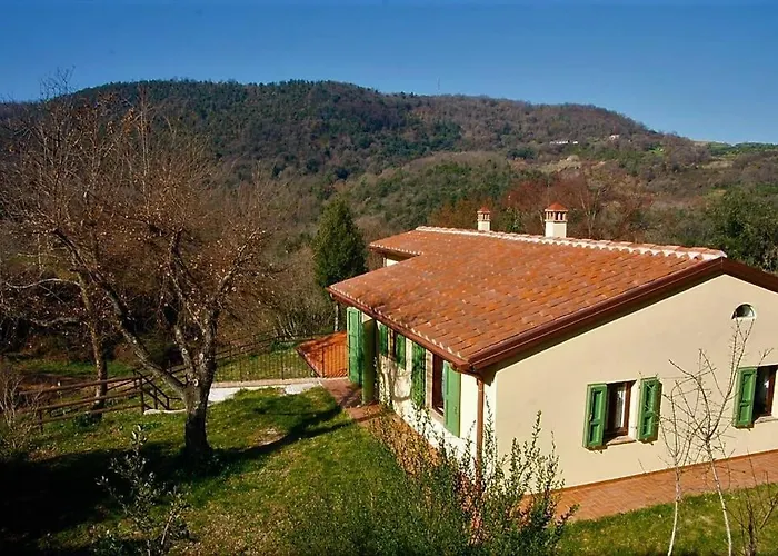 Con Piscina 10 Posti Letto, L'oliveta Di Rivalto Villa Chianni