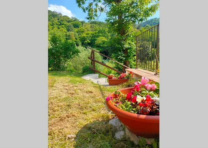 Con Piscina 10 Posti Letto, L'oliveta Di Rivalto Chianni