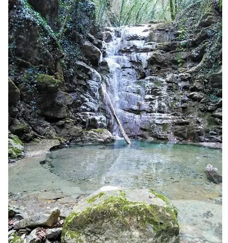 Con Piscina 10 Posti Letto, L'oliveta Di Rivalto